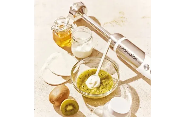 LAGRANGE MIXEUR PRO  619013